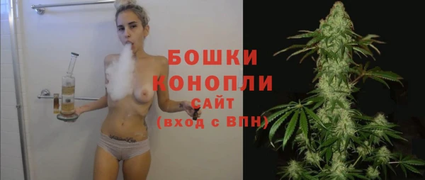 молекула духа Покачи