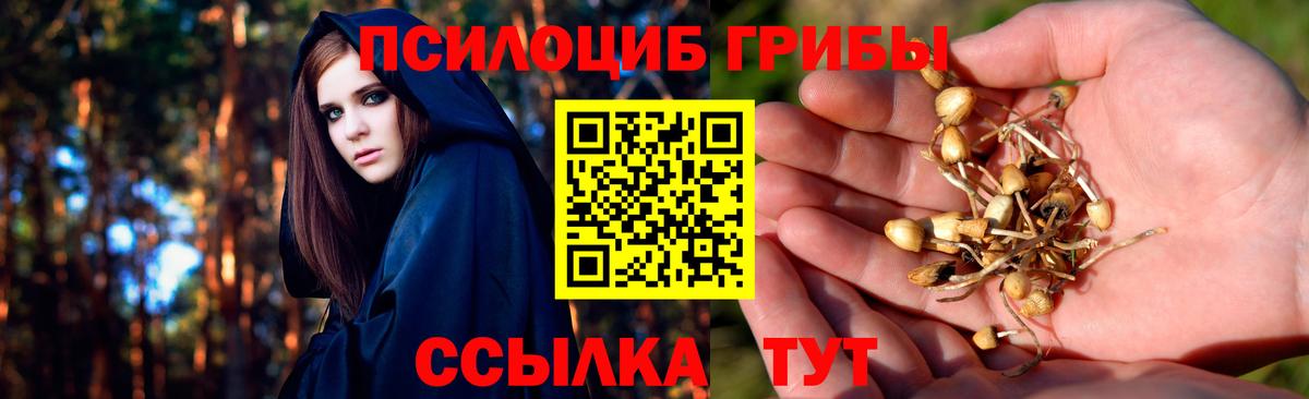Галлюциногенные грибы Cubensis Красноперекопск